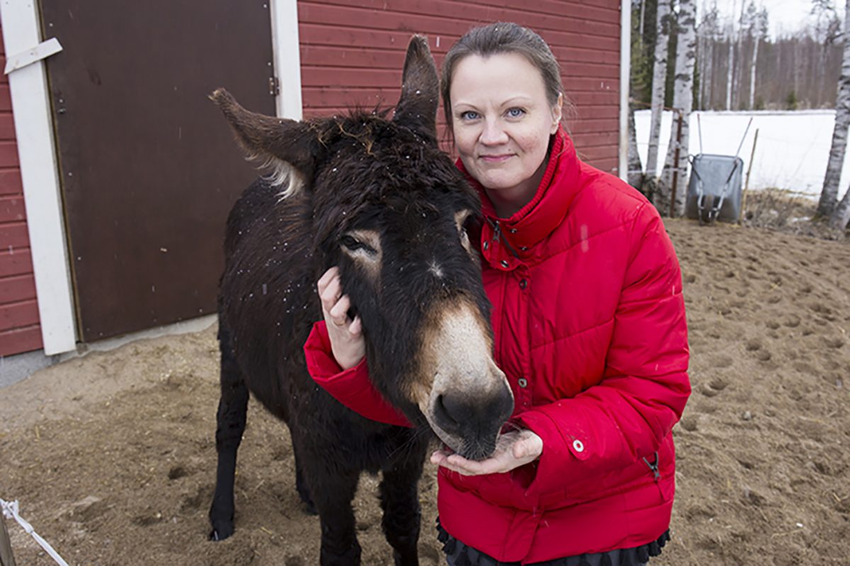 Aasillinen viisautta