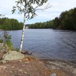 Tuhkauksen suosio kasvaa