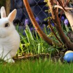 Pääsiäispupu onkin VR:n miehiä!